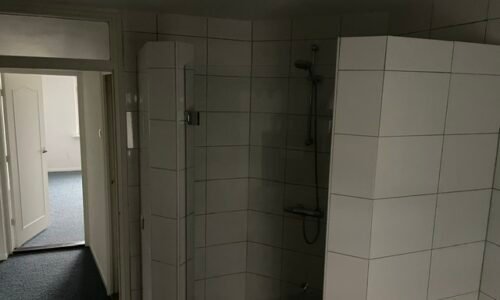 Oliemolensingel 208 Oliemolensingel 208 - Badkamer