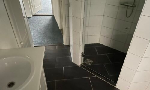 Oliemolensingel 208 Oliemolensingel 208 - Badkamer