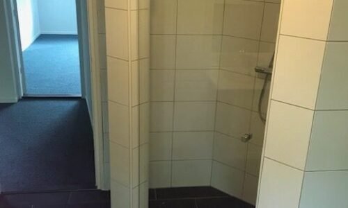 Oliemolensingel 208 Oliemolensingel 208 - Badkamer